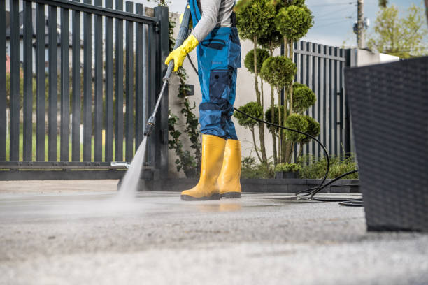 Best Exterior Home Cleaning  in Crystal City, TX